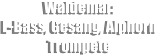 Waldemar: E-Bass, Gesang, Alphorn Trompete
